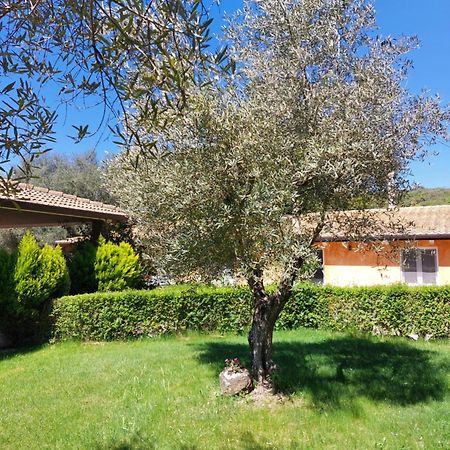 Casa Vacanza Centro Sardegna Sorgono Exterior photo
