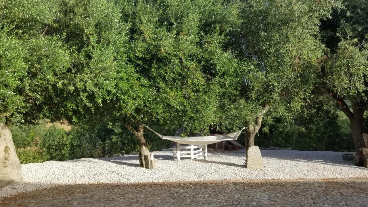 Casa Vacanza Centro Sardegna Sorgono Exterior photo