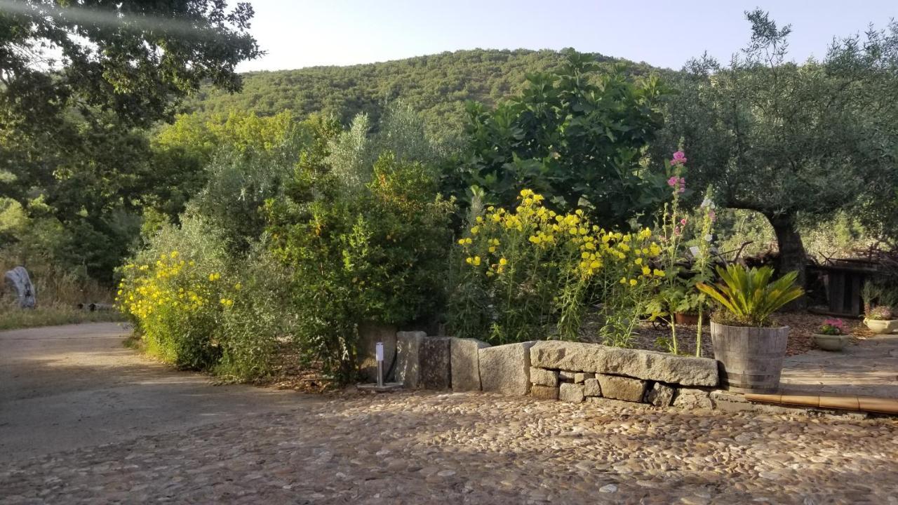 Casa Vacanza Centro Sardegna Sorgono Exterior photo