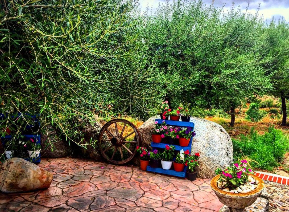 Casa Vacanza Centro Sardegna Sorgono Exterior photo